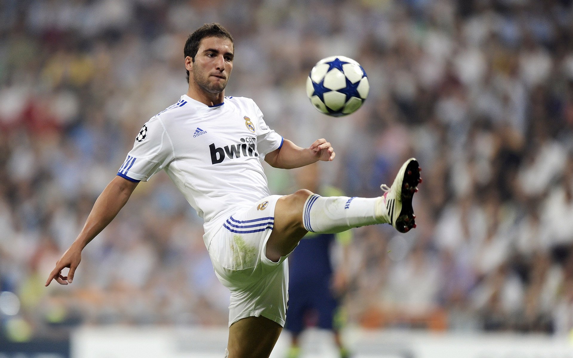 塞内加尔队三连胜小组第一出线，强势晋级淘汰赛，塞内加尔队阵容